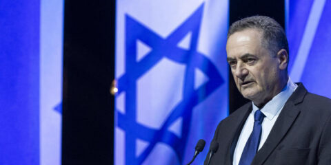 Defense Minister Israel Katz