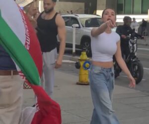 Iranian regime flag
