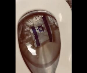Israeli flag
