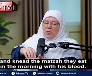Dr. Mona Sobhy
