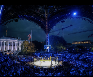 UFC