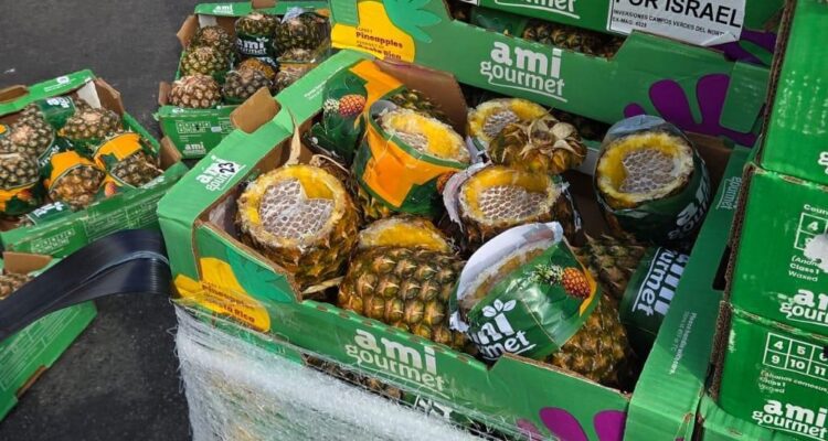 Thousands of cigarettes found hidden inside pineapple shipment bound for Gaza