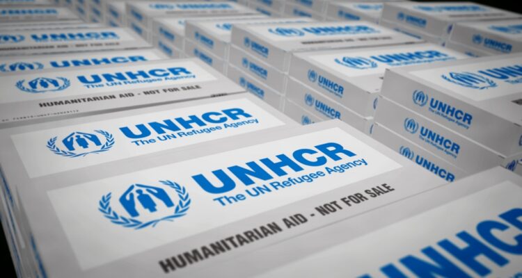 If UNRWA is a problem, don’t kill its alternative – opinion