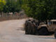 Lebanese army