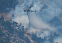 Wildfire