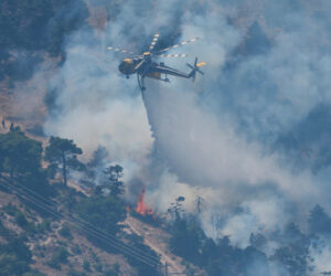 Wildfire