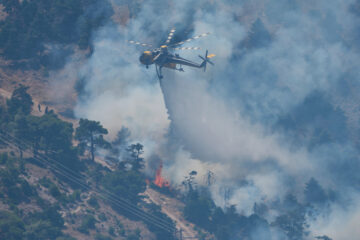 Wildfire