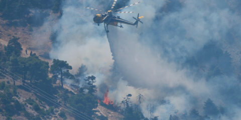 Wildfire