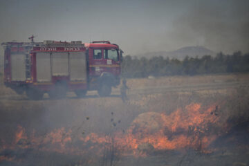 arson