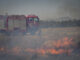 arson