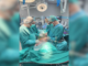 3D-printed chest