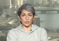Susan Abulhawa