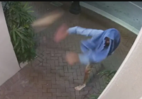 Synagogue attack