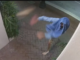 Synagogue attack