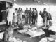 IDF humanitarian delegation