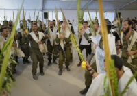 idf succot
