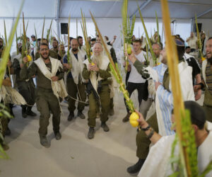 idf succot