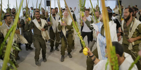 idf succot