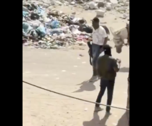Gaza