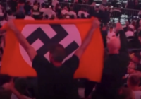 Nazi flag