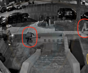 crown heights antisemitism