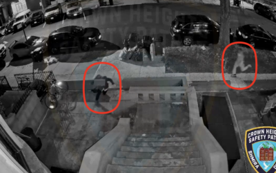 crown heights antisemitism