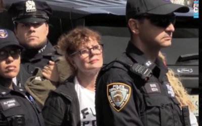 Susan Sarandon