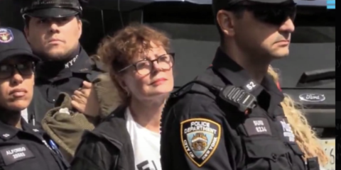 Susan Sarandon