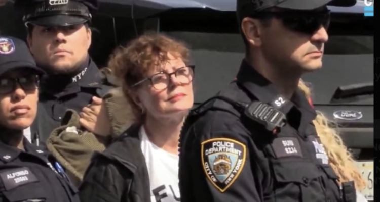 Susan Sarandon, socialist congressional candidate arrested while protesting Netanyahu’s UN speech