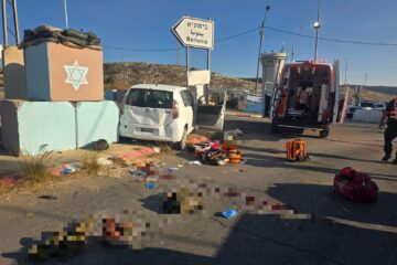 terror attack