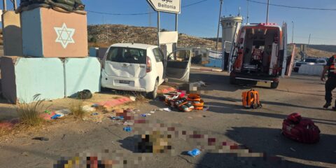 terror attack