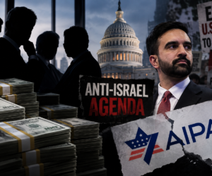 AIPAC, Zohran Mamdani, Democratic Party, Anti-Israel activism, Political donations