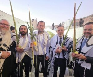 officials at Joseph's