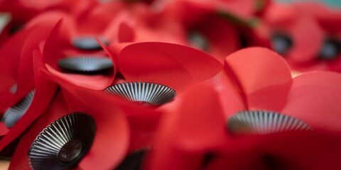 UK poppy pins