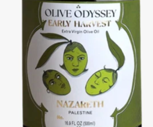 Olive Odyssey