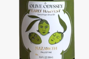 Olive Odyssey