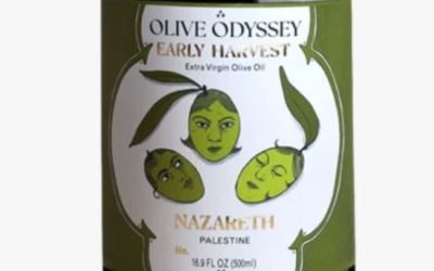 Olive Odyssey