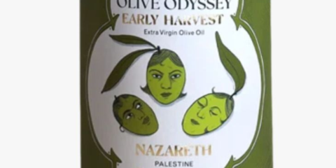 Olive Odyssey