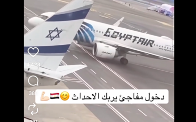 Egyptian pilot