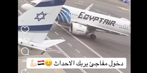 Egyptian pilot