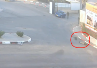 hebron attack