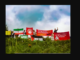 Far-left camp