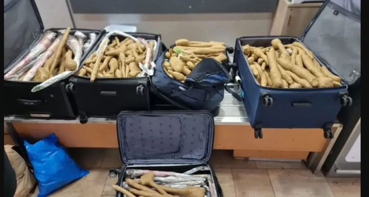 Brazen banana smuggler busted at Ben Gurion Airport