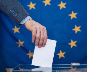 EU voting