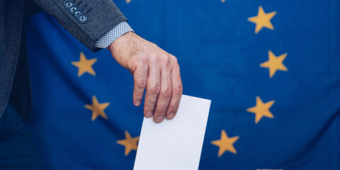 EU voting
